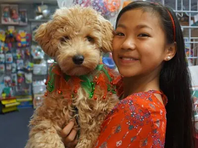 girl with a dog at the Snapdragon Toys