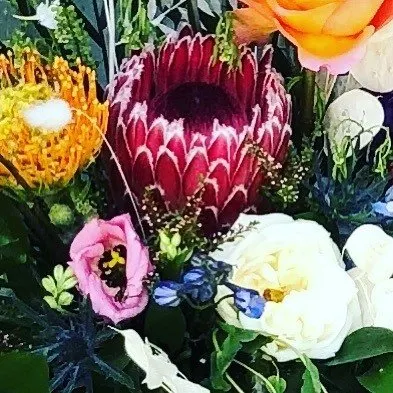 Tidly Floral Designs
